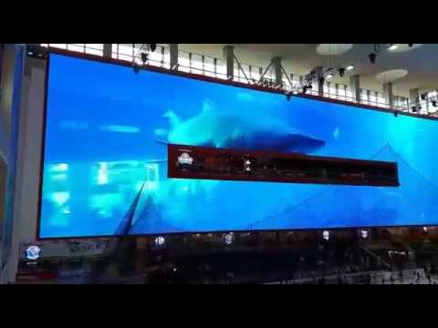 Dubai Mall (the biggest screen in the world) - YouTube