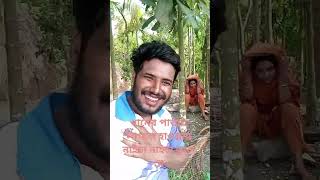 ধানের পাতায় লাগলে হাওয়া নাইচা নাইচা তোলে রে #bangla #song #rinadhaka