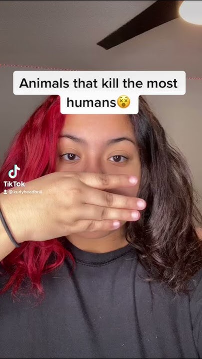 animals-that-kill-the-most-humans-shorts-youtube