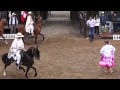 Caballo de paso bailando marinera en Bogotá, 28 de Julio 2013