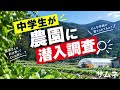 2年5組「三和農園紹介動画」