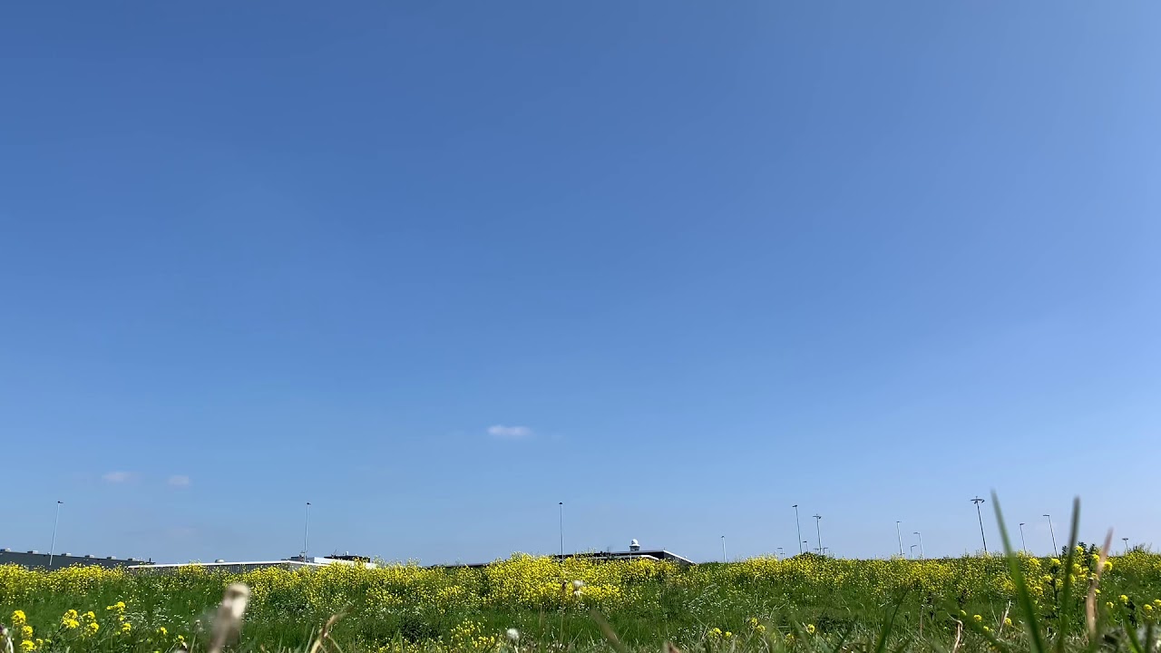 Western Global MD-11 over taxiway Q at Schiphol