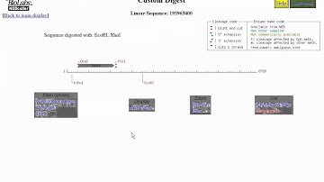 Genetic Engineering Training Part 1