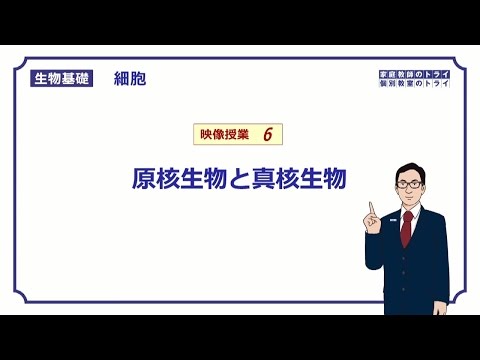 【生物基礎】　細胞6　原核生物と真核生物　（１１分）