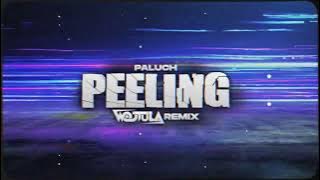 Paluch - Peeling (WOJTULA REMIX)