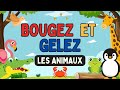 Pause active apq bougez et gelez   les animaux brain break dpa move  freeze  animals