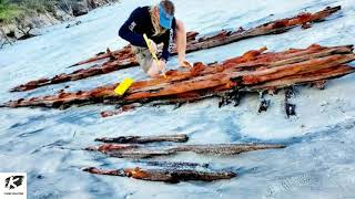 200-year-old shipwreck found after hurricane washed away sand on Florida beach