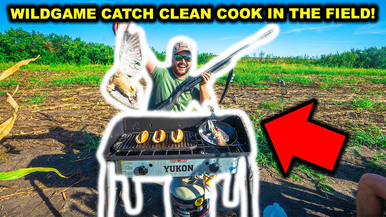 Clean catch. Clean catch