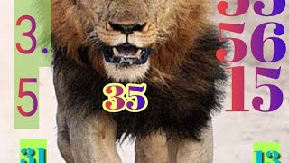 Thailand Lottery vvip routine only single touch formula screenshot 5