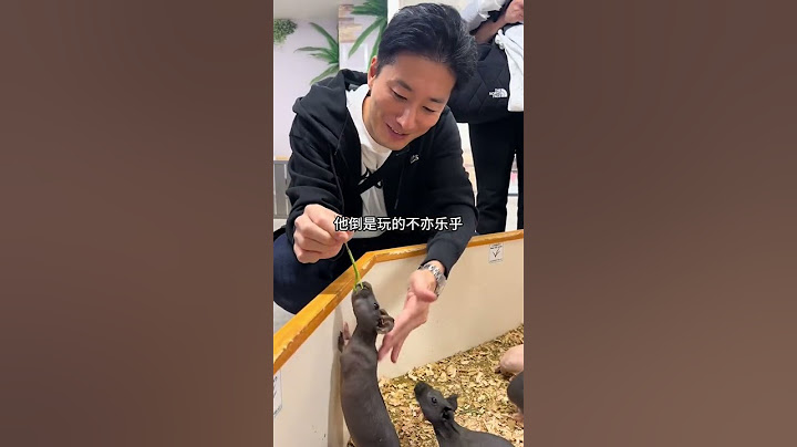 二胎家庭想一碗水端平真的好难，所以干脆不端平！按每个孩子的需求尽自己所能给他们最多的爱，不委屈孩子也不内耗自己 #二胎 #婚后生活 #日常vlog #中日夫妻 #平平淡淡小日子