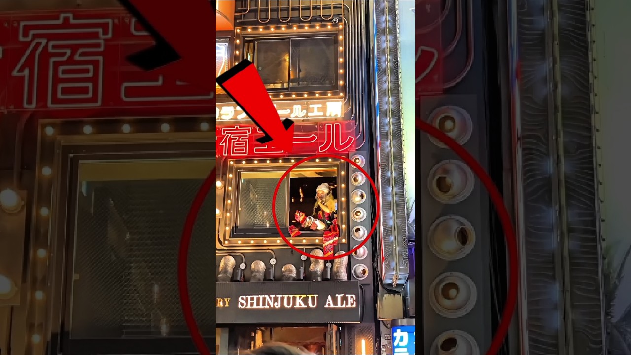 Did You Know? Tokyo’s Wild Nightlife in Kabukicho 🌸✨