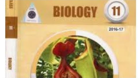 Nucleus , Nuclear membrane, Nucleolus, Chromosomes