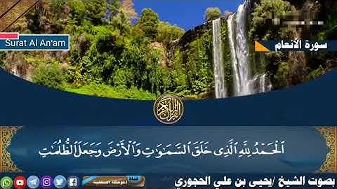 سورة الأنعام - فضيلة الشيخ يحيى بن علي الحجوري - حفظه الله
