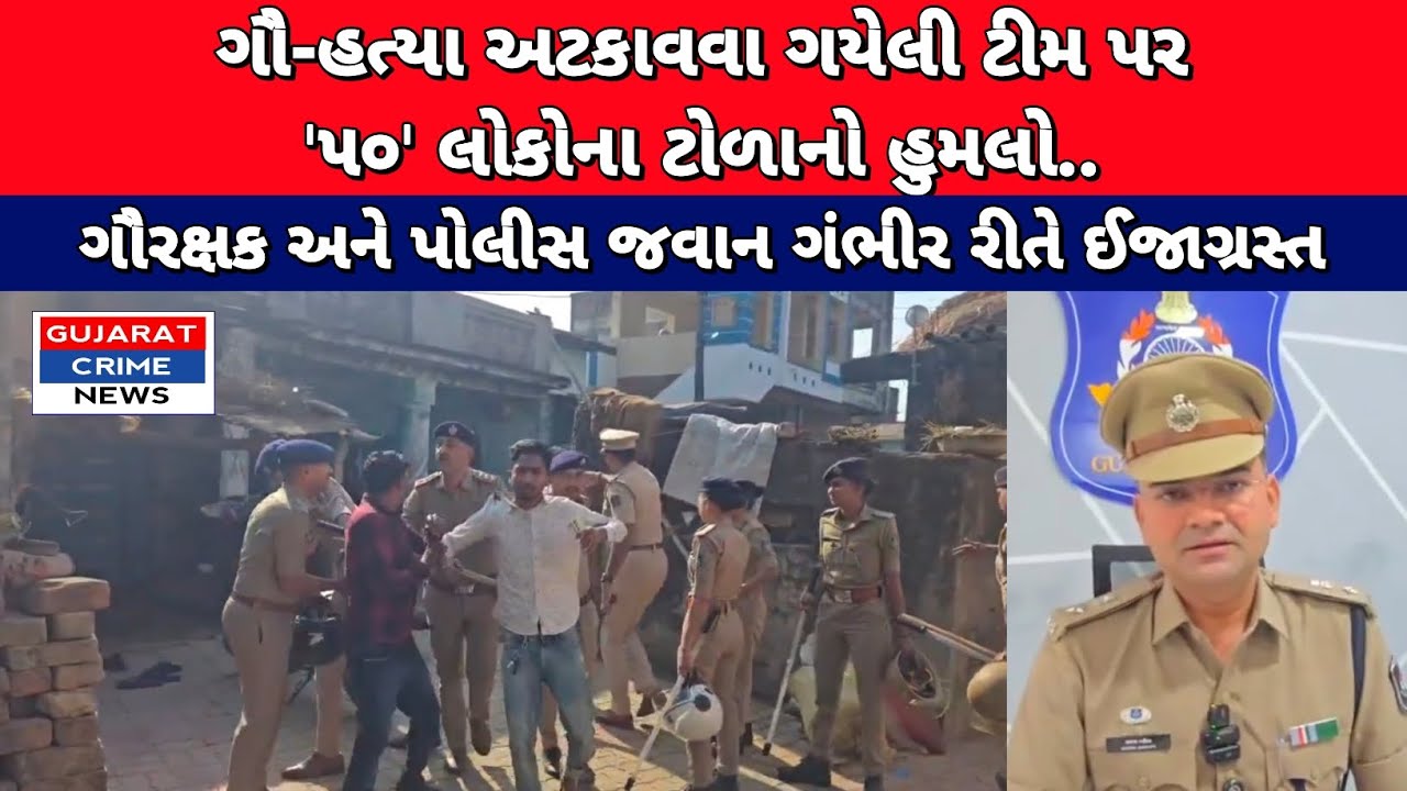 ગૌ-હત્યા અટકાવવા ગયેલી ટીમ પર 50 લોકોના ટોળાનો હુમલો.. #surat