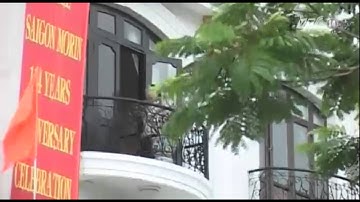 VTC14_Thừa Thiên Huế: Không có chuyện chặt 3.500 cây xanh