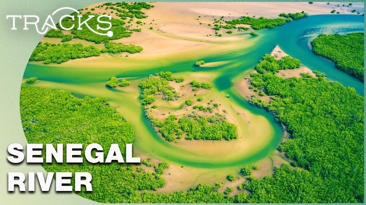 ⁣The Guards of The River Senegal | Today In Africa | TRACKS