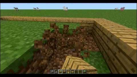 Minecraft Lets build #1.1 : Library