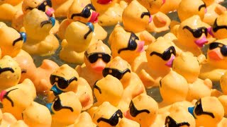 Steel City Duck Derby: A sea of yellow rubber ducks in Pittsburgh