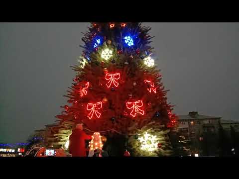 В Павлограде зажглась новогодняя елочка 2021