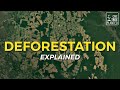 What is Deforestation? | One Tree Planted