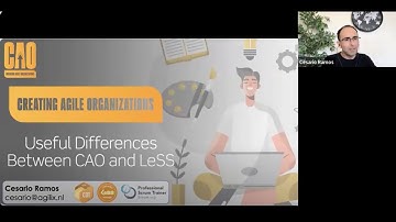 Cesario Ramos - Creating Agile Organizations (A Systemic Approach) and the differences to LeSS