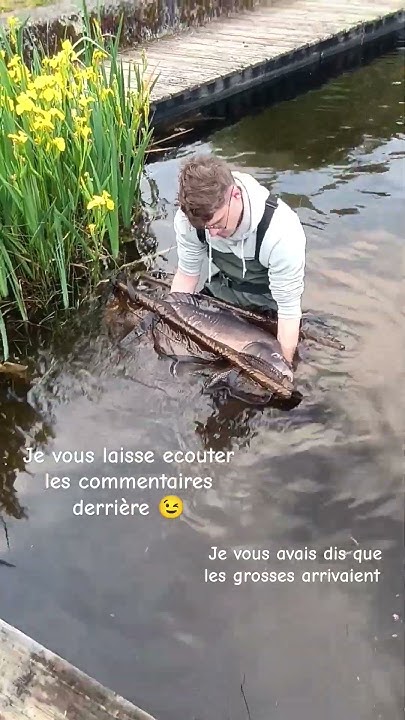 combien-de-kg-tu-penses-how-many-lbs-you-think-biggboss