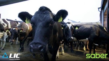 Joe Kirwan on Saber Draft - Next Generation, Automated Sorting/Drafting For All Milking Systems.