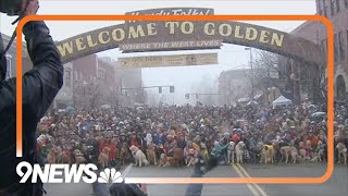 Hundreds of golden retrievers meet up in Colorado despite snow