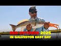 Red October 2025 in Galveston East Bay | Redfish Bite Is On 🔥🔥🔥 #trikafishing #trikarods