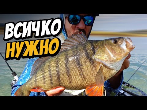 ВСИЧКО от А