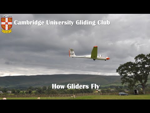 How Gliders Fly