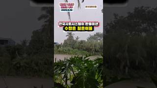한국시스템이 만든 젊은이들 #대한민국 #3040 #한국사회