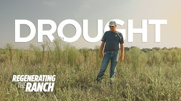 How a Regenerative Ranch Maintains Through Drought – Regenerating the Ranch Docuseries