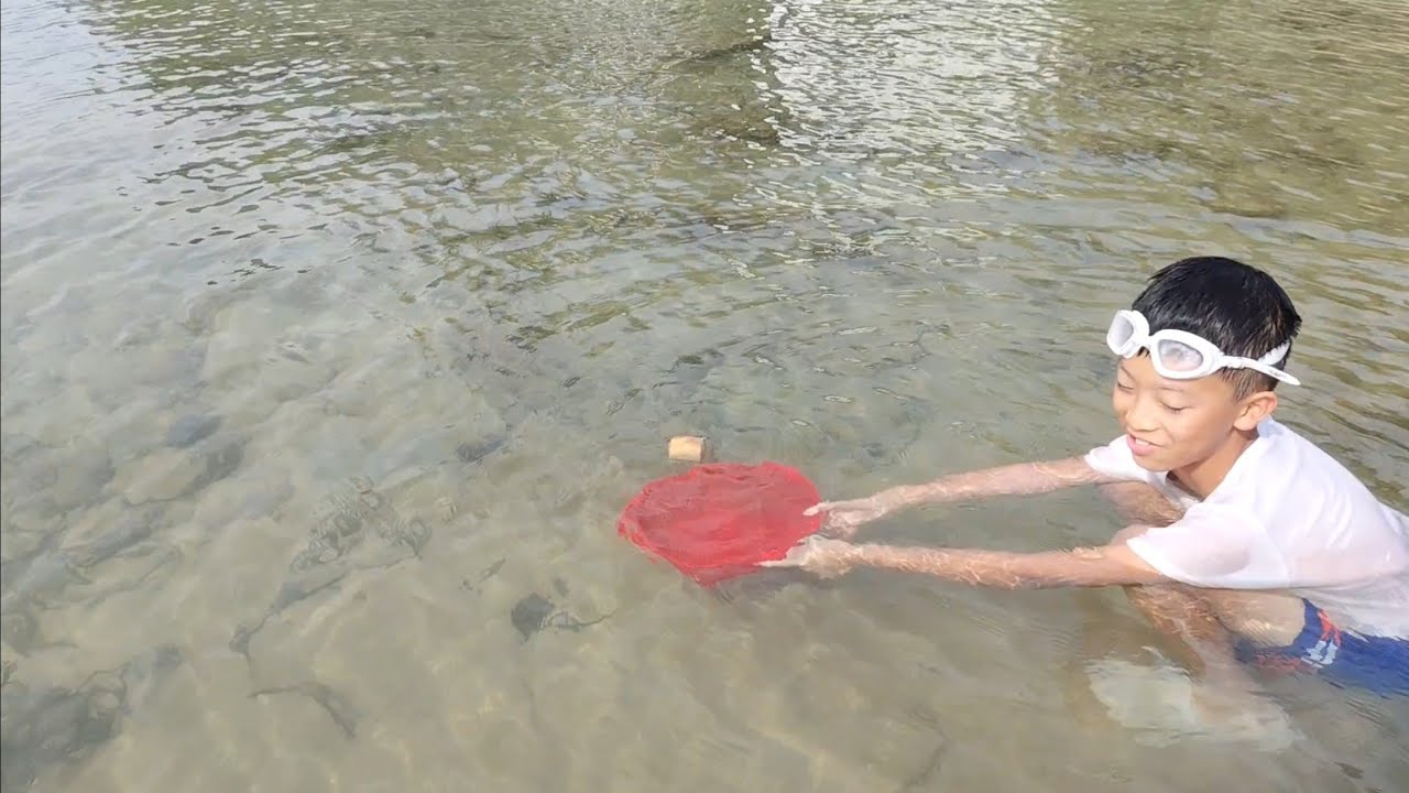 捉魚神器 小棕林沙灘