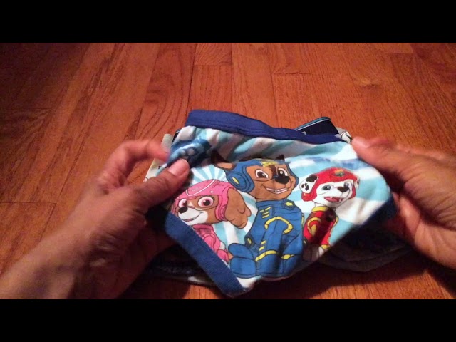 Underwear COMPARISON- Nickelodeon PAW PATROL, Hanes, Carters- Toddler Boys'  2T/3T 