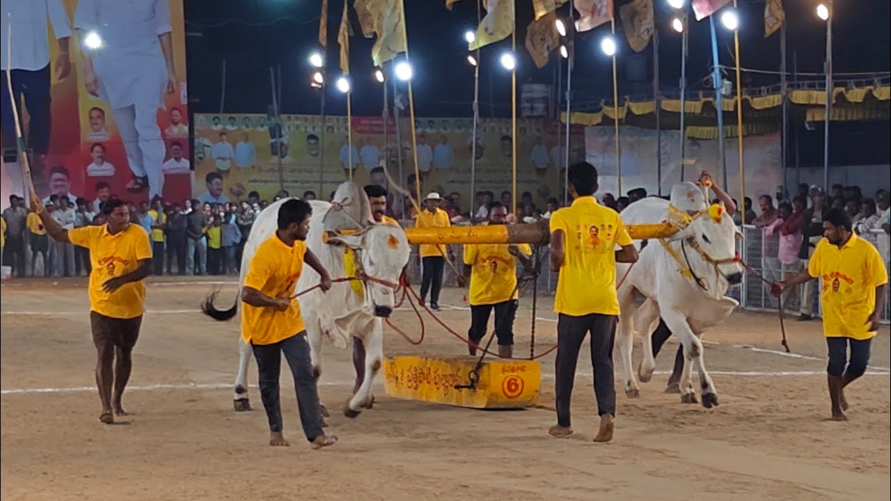 చిలకలూరిపేట 4పళ్ళు విభాగం 7వ చిలుకూరి. నాగేశ్వరావు గారు comind BLK BULLS