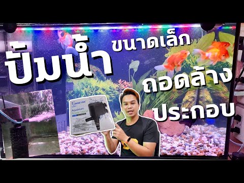 ปั้มน้ำขนาดเล็ก สำหรับระบบกรอง /น้ำพุ | ประกอบ ถอดล้าง | ฮัลโหล พาเพลิน EP.23