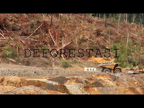 Video: Degradasi Tanah