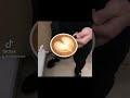 coffee beans ph latte art 13 #shorts #latteart #cappucinoart