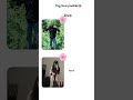 🧿 WAIT FOR END 🎀 #trend #explore #youtubeshorts #love #shortsfeed #shortvideo #trending #fyp