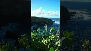 Northern Mariana Islands (Like vs Dislike)