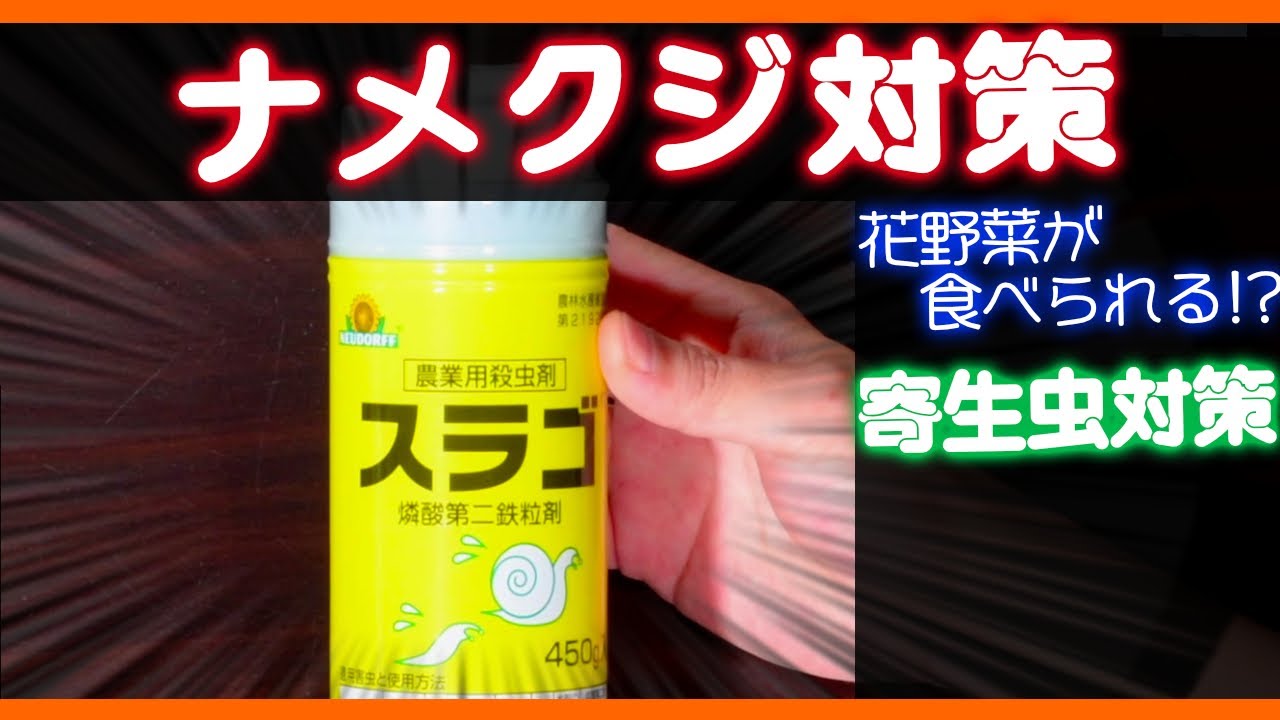 家庭菜園 スラゴ買ってみた ガーデニング Youtube