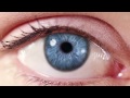 A Doctor&#39;s Perspective on Diabetic Eye Disease