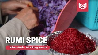 Entrepreneurial Spotlight on Rumi Spice. Presented by Military Made.