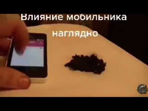Graphene Reacting To EMF Field From A Cell Phone 