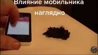 Graphene Reacting To EMF Field From A Cell Phone