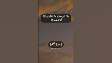 سورة النمل الآية ٦٦ الى ٧٠ بصوت الشيخ محمد صديق المنشاوي