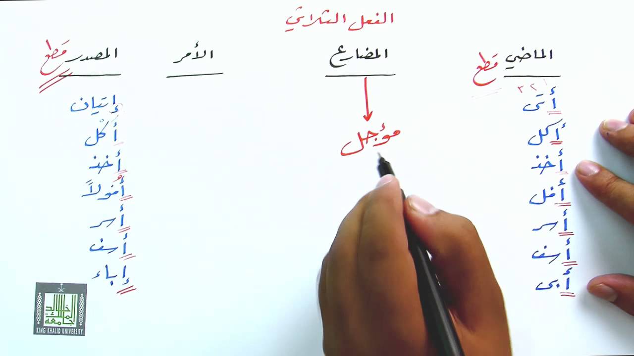 همزة الوصل والقطع في االأفعال٢