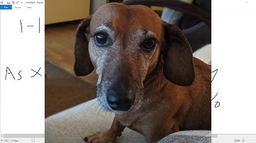 How to Interpret log(y) in Linear Regression /// STAT 3050