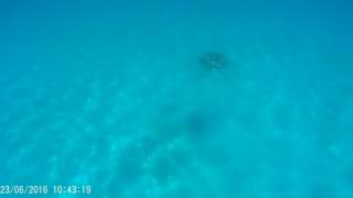 2016 0623 104305 005
